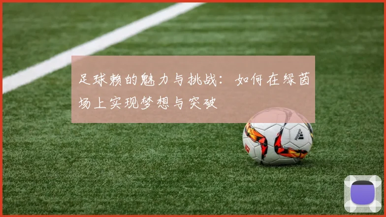 足球赖的魅力与挑战：如何在绿茵场上实现梦想与突破