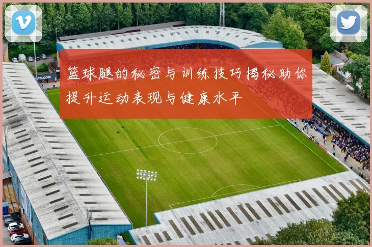 篮球腿的秘密与训练技巧揭秘助你提升运动表现与健康水平